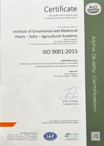 ISO9001 2015 en 214x300